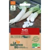 Graines biologiques Radis blanc Daïkon