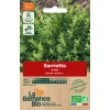 Graines biologiques Sarriette vivace