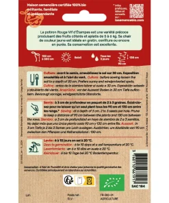 semences Potiron Rouge Vif d'Étampes