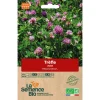 Graines biologiques Trèfle violet