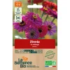 Graines biologiques Zinnia en mélange