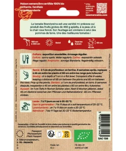 semences Tomate Brandywine rose