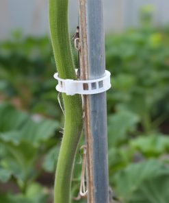 CLIPS BIO DE TUTEURAGE (x100)