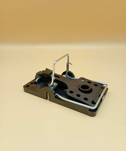Tapette à rats "CABANE" (x5)