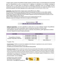 Engrais micro granulés chrysanthèmes 5Kg (NPK 6-5-10) – Image 4