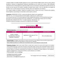 Engrais azalées et camélias 3L – Image 5