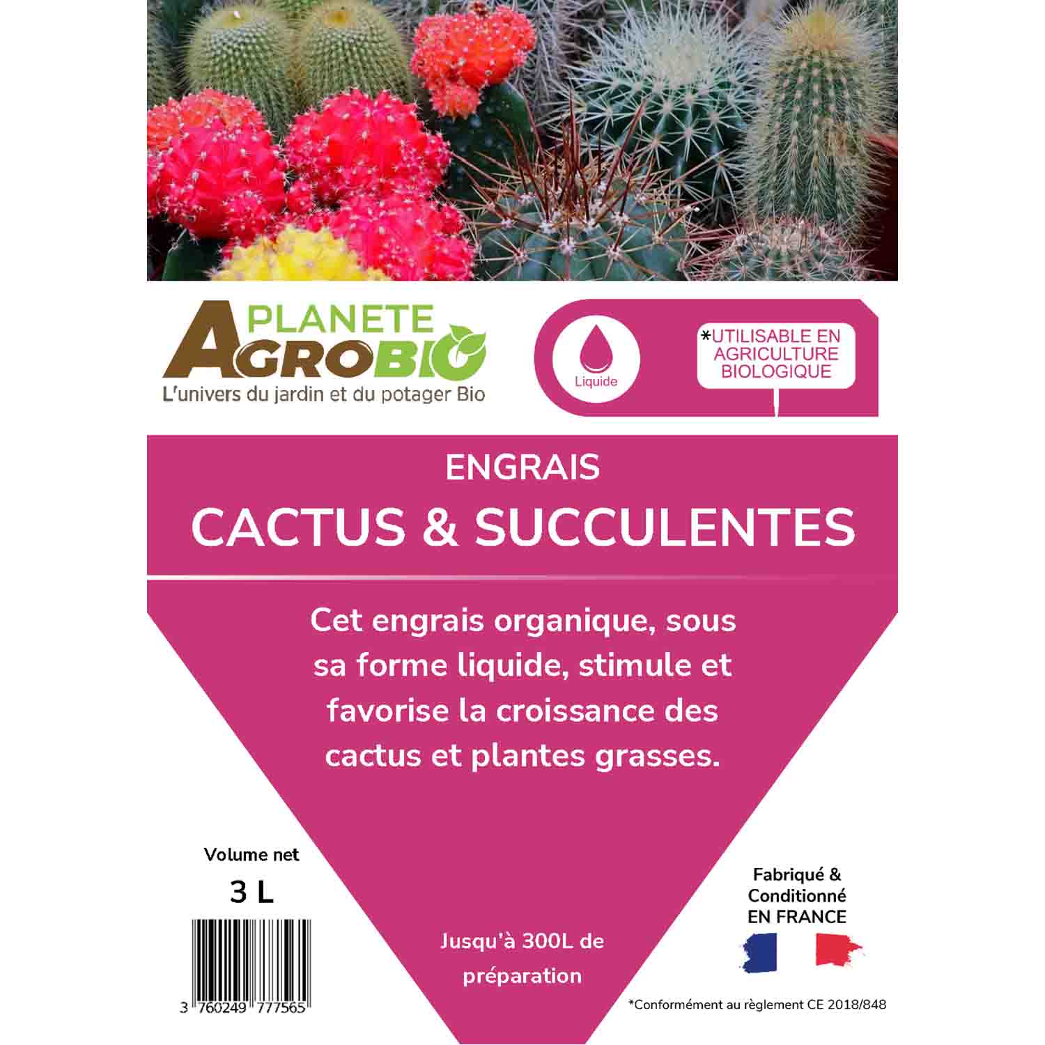 Engrais cactus et succulentes 3L – Image 4