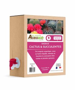 Engrais cactus et succulentes 5L