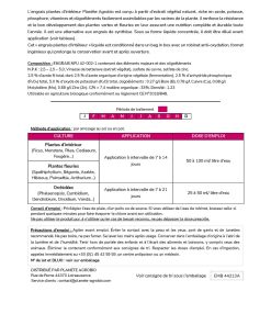 Engrais plantes d'intérieur 3L – Image 5