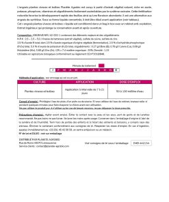 Engrais vivaces et bulbes 5L – Image 5