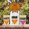 Pack potager