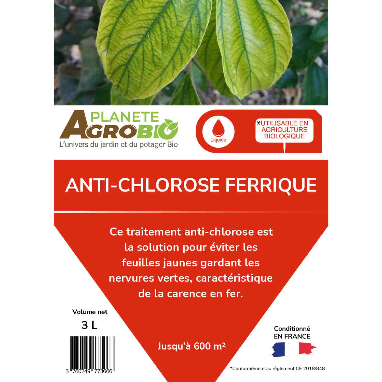Anti-chlorose ferrique 3L – Image 4
