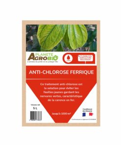 Anti-chlorose ferrique 5L – Image 2