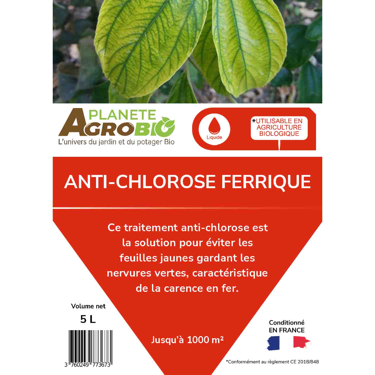 Anti-chlorose ferrique 5L – Image 4