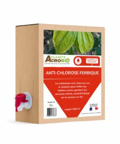 Anti-chlorose ferrique 5L