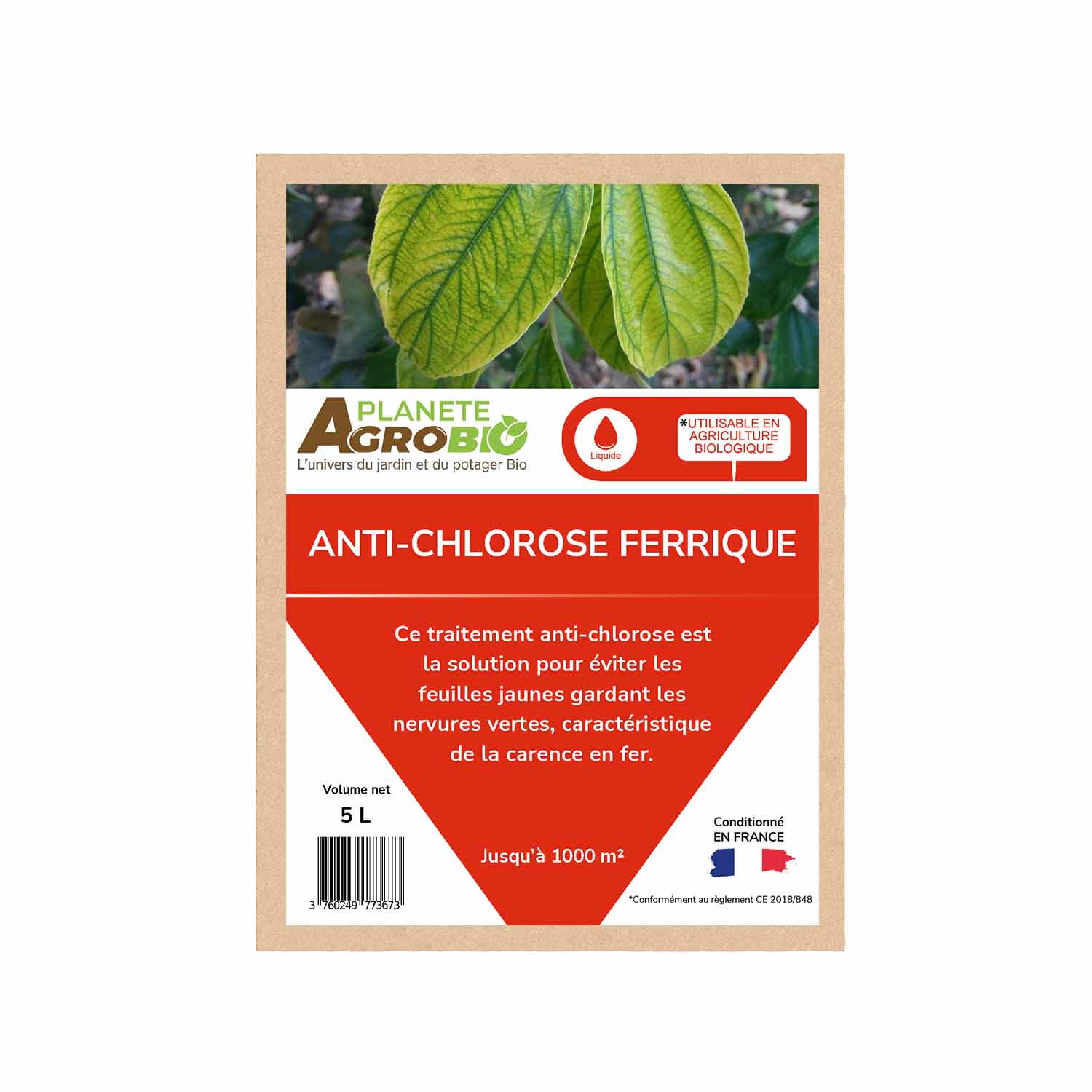 Anti-chlorose ferrique 5L – Image 2