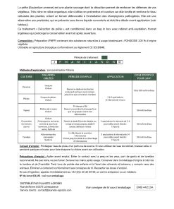 Décoction de prêle 3L – Image 5