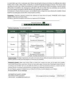 Infusion d'écorce de saule 5L – Image 5
