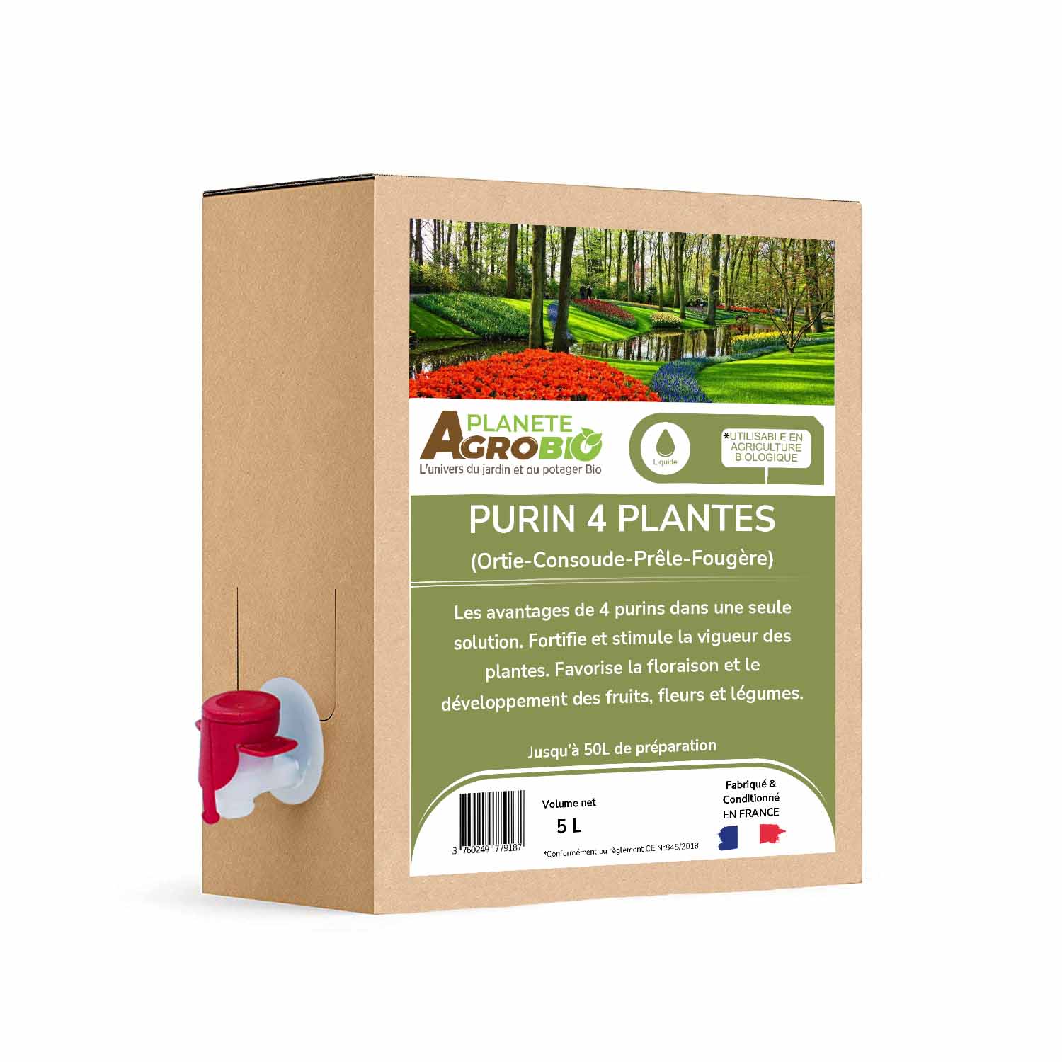 Purin 4 plantes 5L