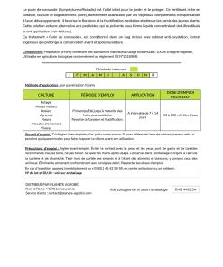 Purin de consoude 3L – Image 5
