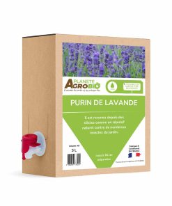 Purin de lavande 3L