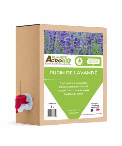 Purin de lavande 5L