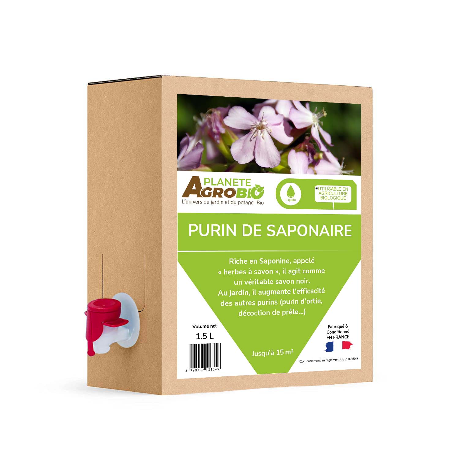 Purin de saponaire 1.5L
