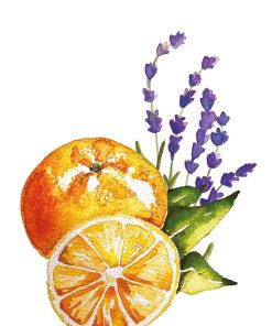 Déodorant solide lavande et orange – Image 2