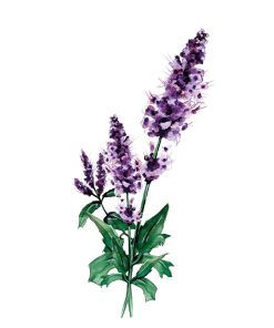 Savon patchouli vert 1Kg – Image 2