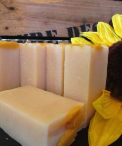 Shampoing solide au lait d'avoine 100g – Image 2